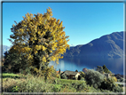 foto Lago di Como